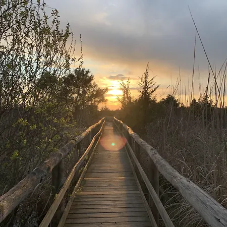 Torre Matilde Hotel Viareggio